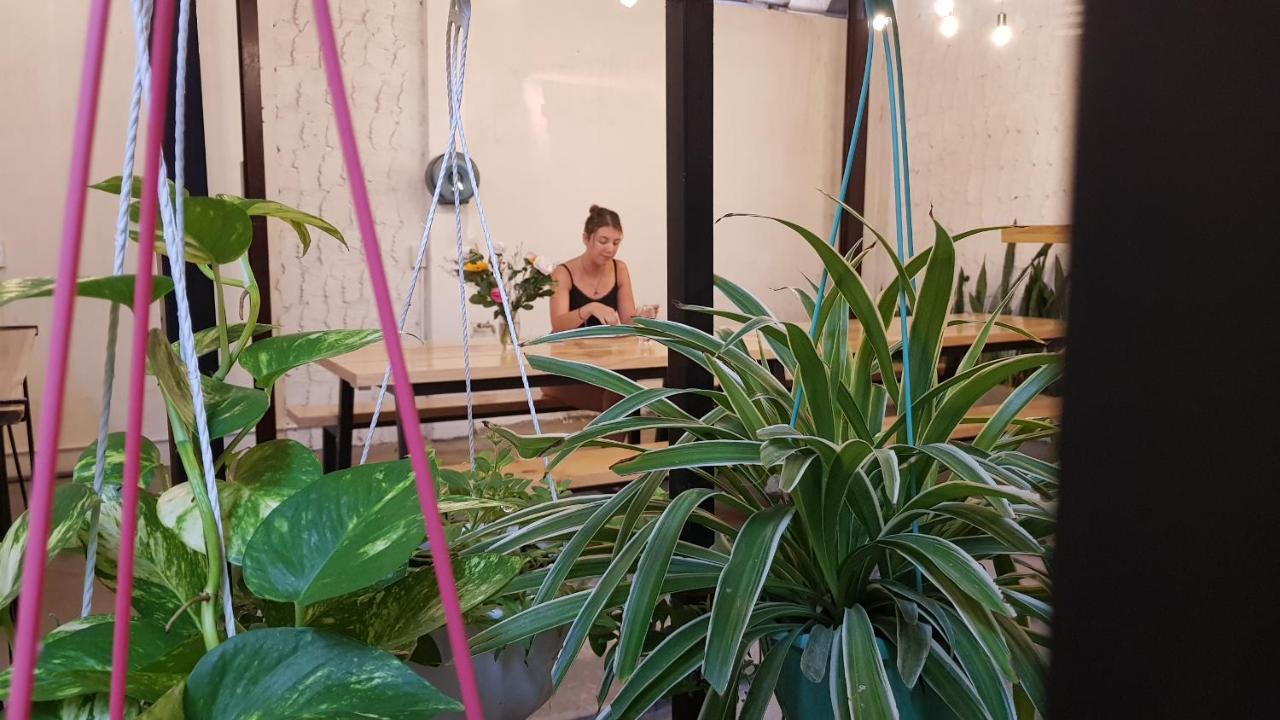 White House Hostel Нячанг Экстерьер фото